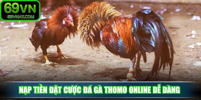 Nạp tiền đặt cược đá gà thomo online dễ dàng 
